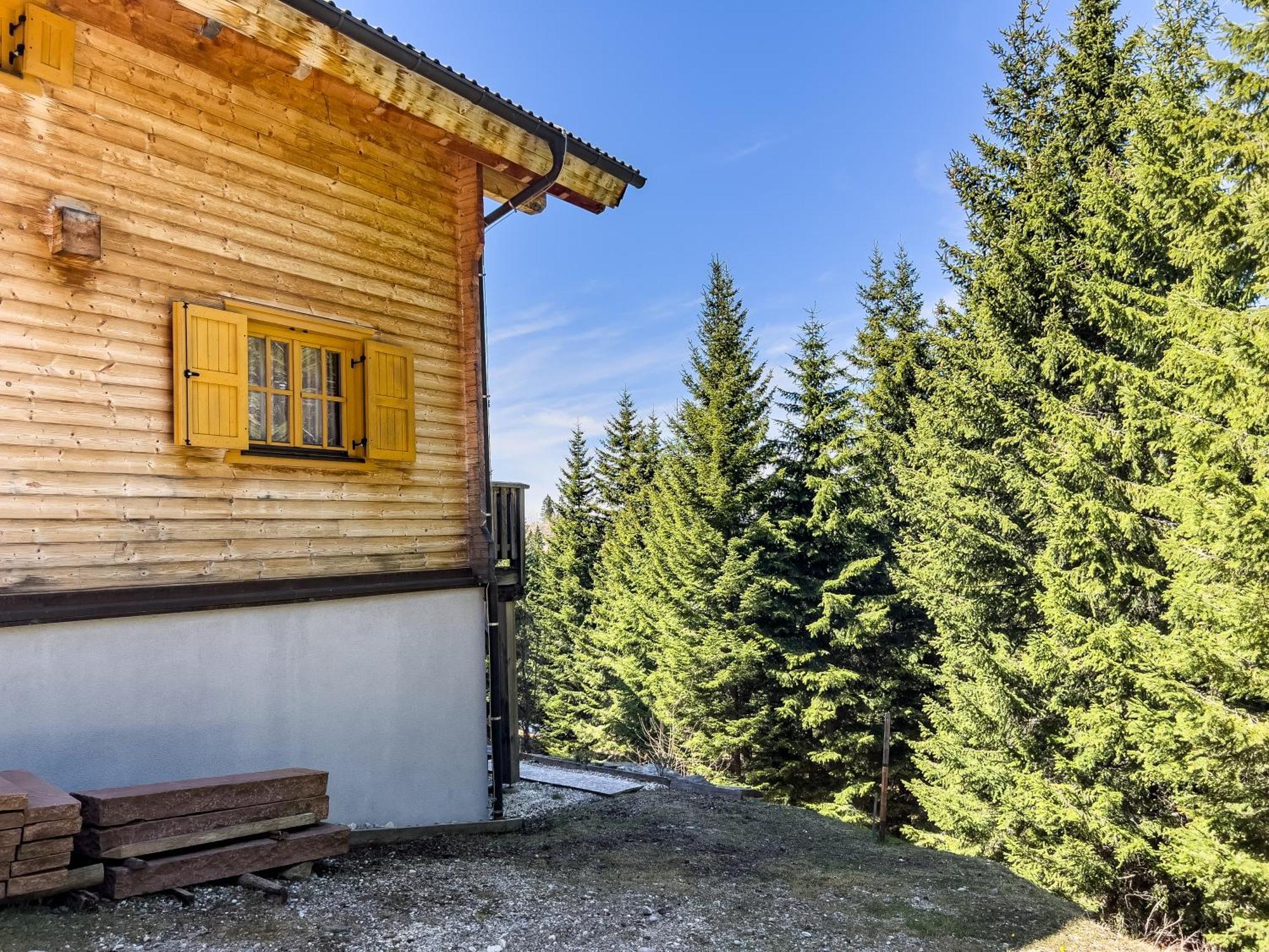 1A Chalet Enzianhuette - Ski Fahren Und Indoor Sauna Villa Elsenbrunn Eksteriør billede